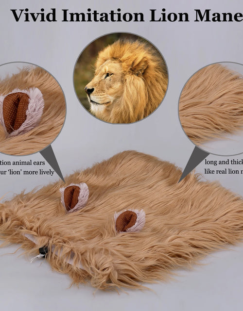 Load image into Gallery viewer, Lion Mane Wig for Dogs, Funny Pet Cat Costumes for Halloween Christmas, Furry Dog Clothing Accessories (Size L, Coffee)
