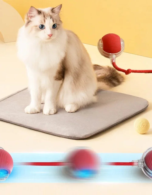 Load image into Gallery viewer, Interactive Cat Toys Ball Auto Electric Rolling Ball Toys for Cats/Kitty Pets Smart Automatic Teaser USB Rechargeable
